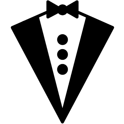 Level Mauritius Logo